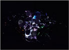 o.T. (stagebeauty 4), 2008