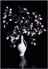 o.T. (stagebeauty 6), 2008